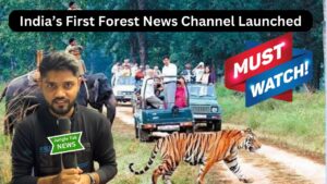 First Forest-Based News Channel