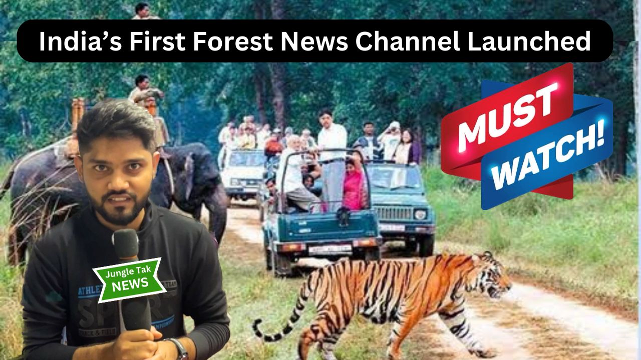 First Forest-Based News Channel