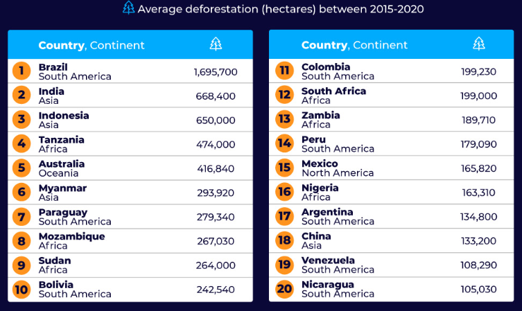 average deforestation