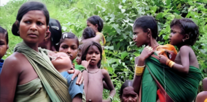 Mo jungle jami yojana