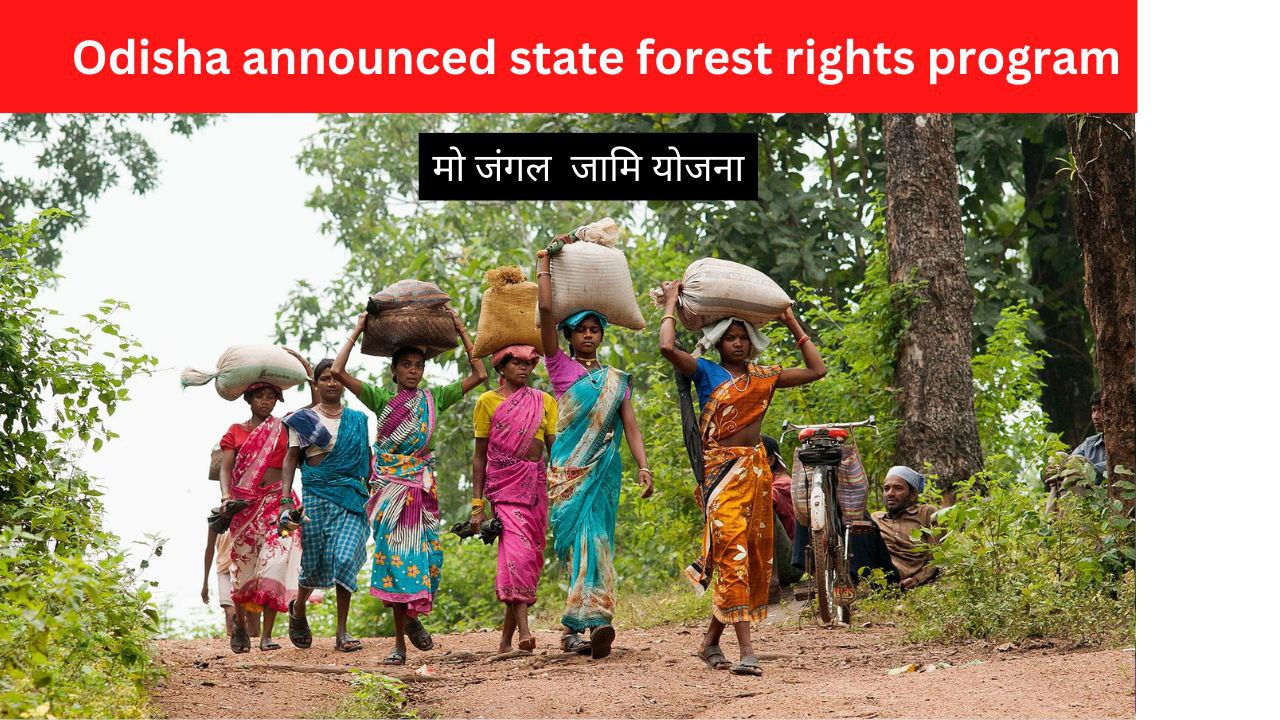 Mo jungle jami yojana