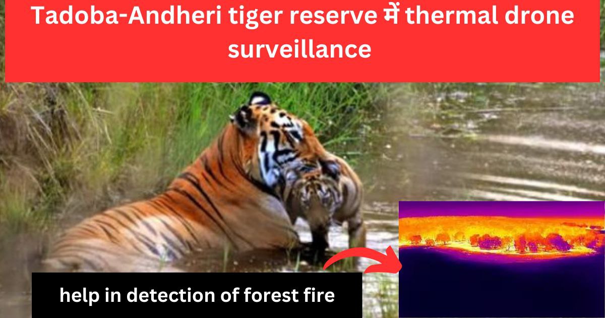 thermal drone surveillence in tadoba-andheri tiger reserve