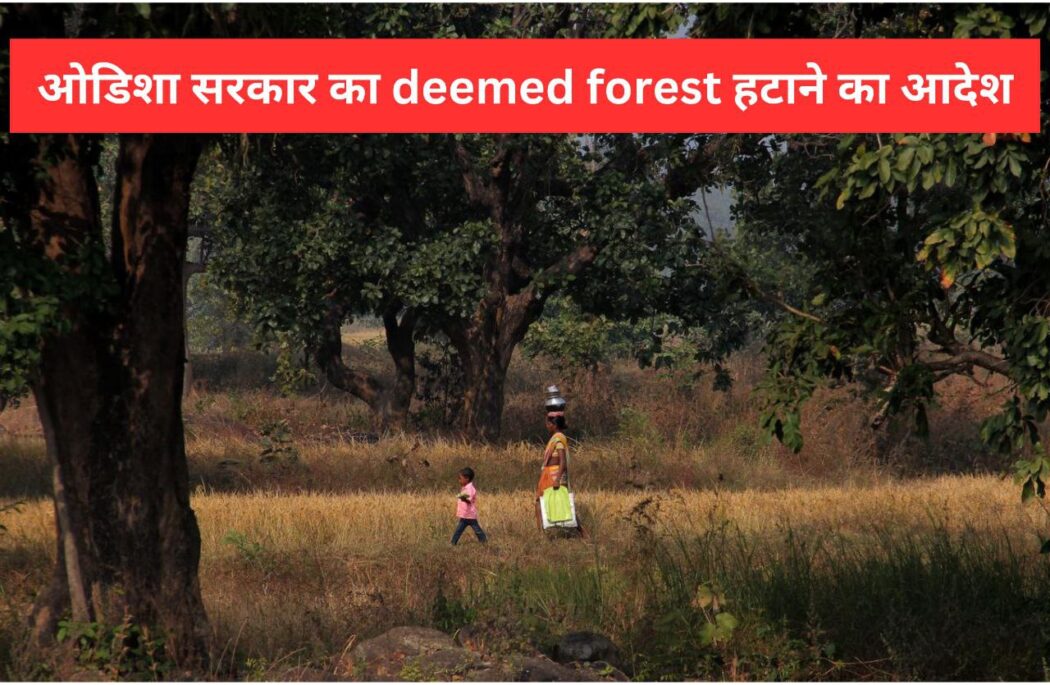 deemed forest in odisha