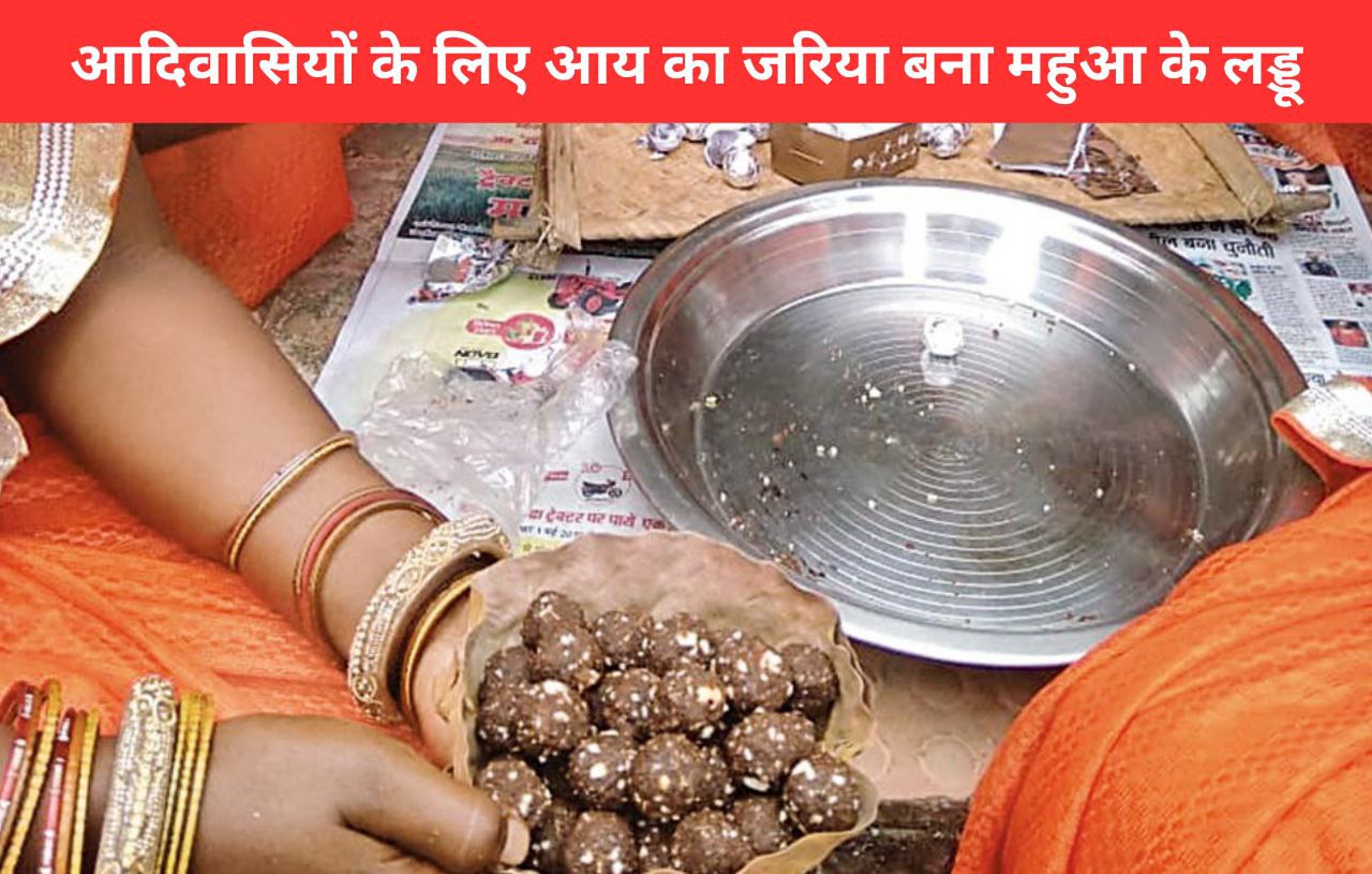 mahua laddo as asource of income