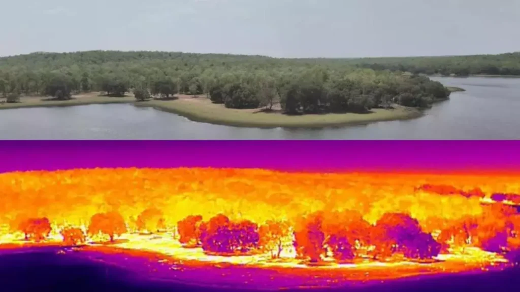 normal drone view vs thermal drone view