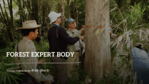 Forest Expert Body की क्या भूमिका है?