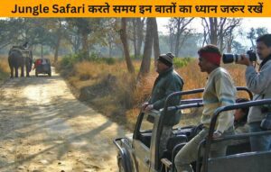 Jungle Safari करते समय इन बातों का ध्यान जरूर रखें