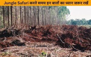 Forest Land क्या होता है