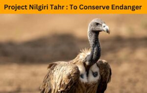 Project Nilgiri Tahr