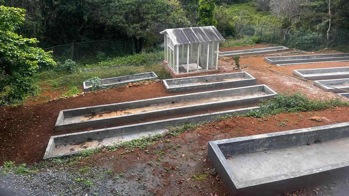  Longwood Shola reserve forest of Nilgiri forest