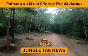 Palnadu वन विभाग मैं forest fire की रोकथाम