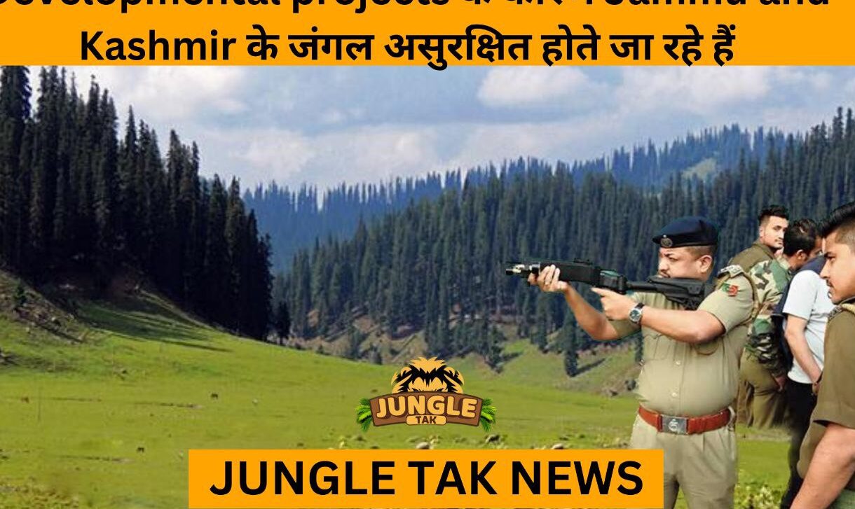 jammu and kashmir forest