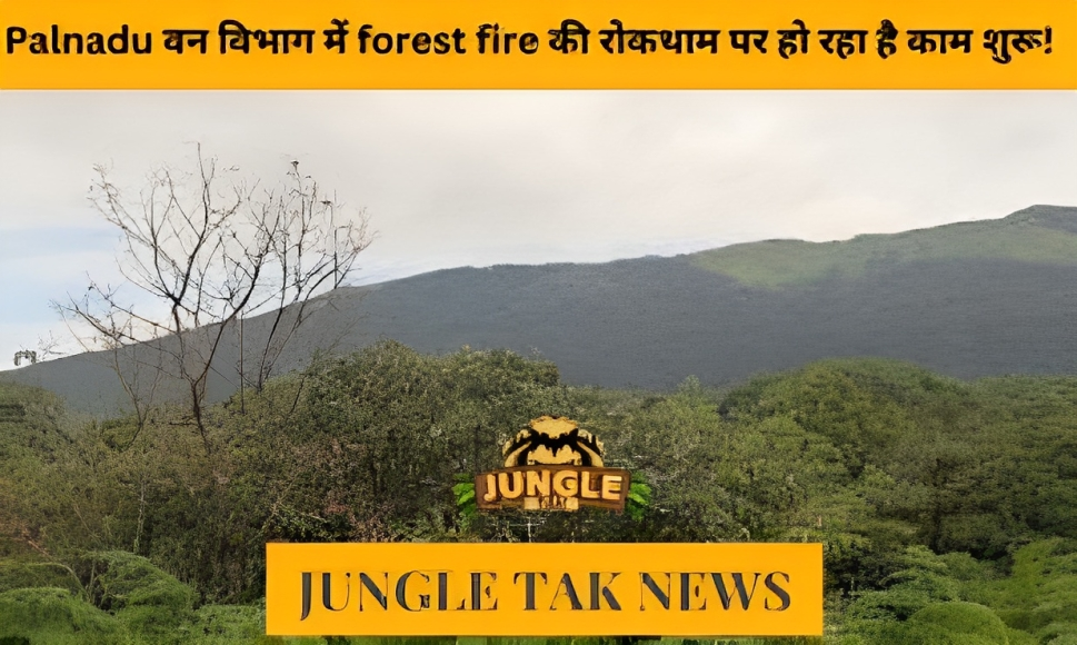 Palnadu वन विभाग मैं forest fire की रोकथामPalnadu वन विभाग मैं forest fire की रोकथाम