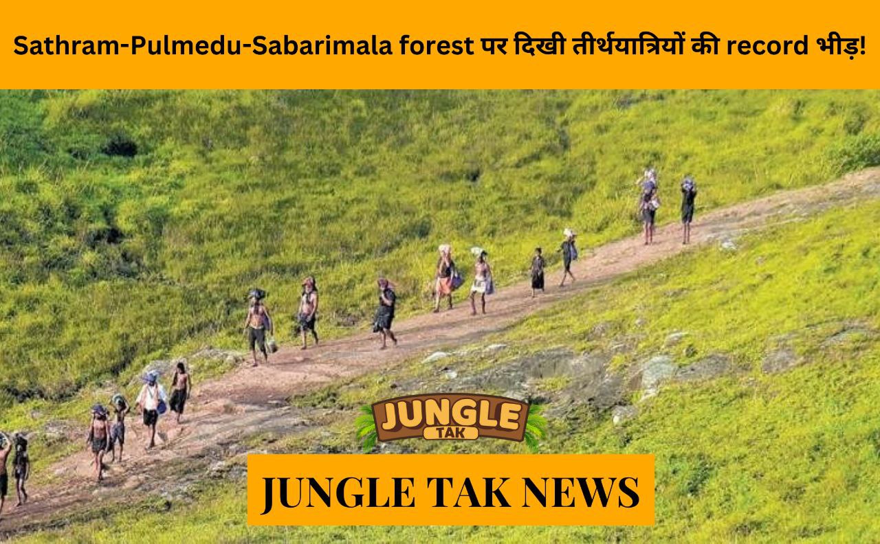 Sathram-Pulmedu-Sabarimala forest route sees a record rush of pilgrims, daily tally nears 6k