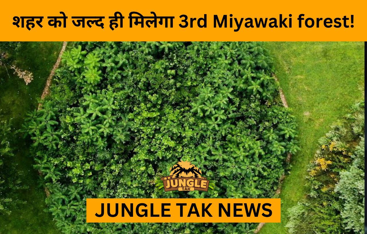 city to get 3rd miyawaki forest