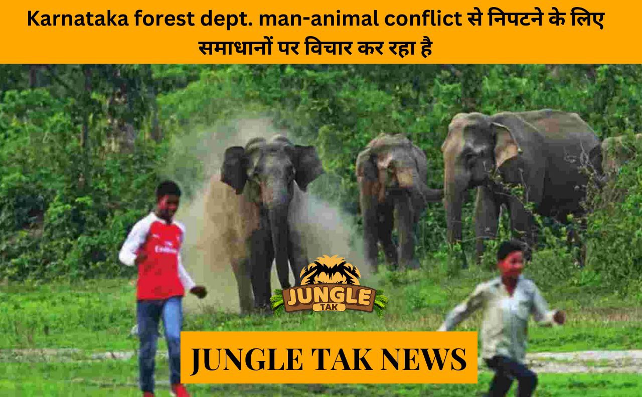 solution of man-animal conflict by karnataka forest dept