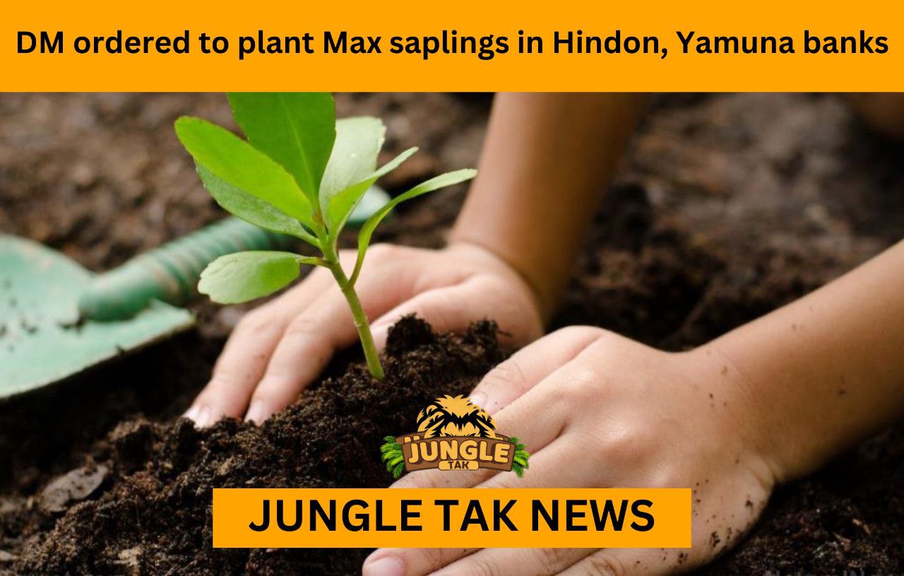DM orders forest dept to plant maximum saplings on Hindon, Yamuna banks-Jungle TAK