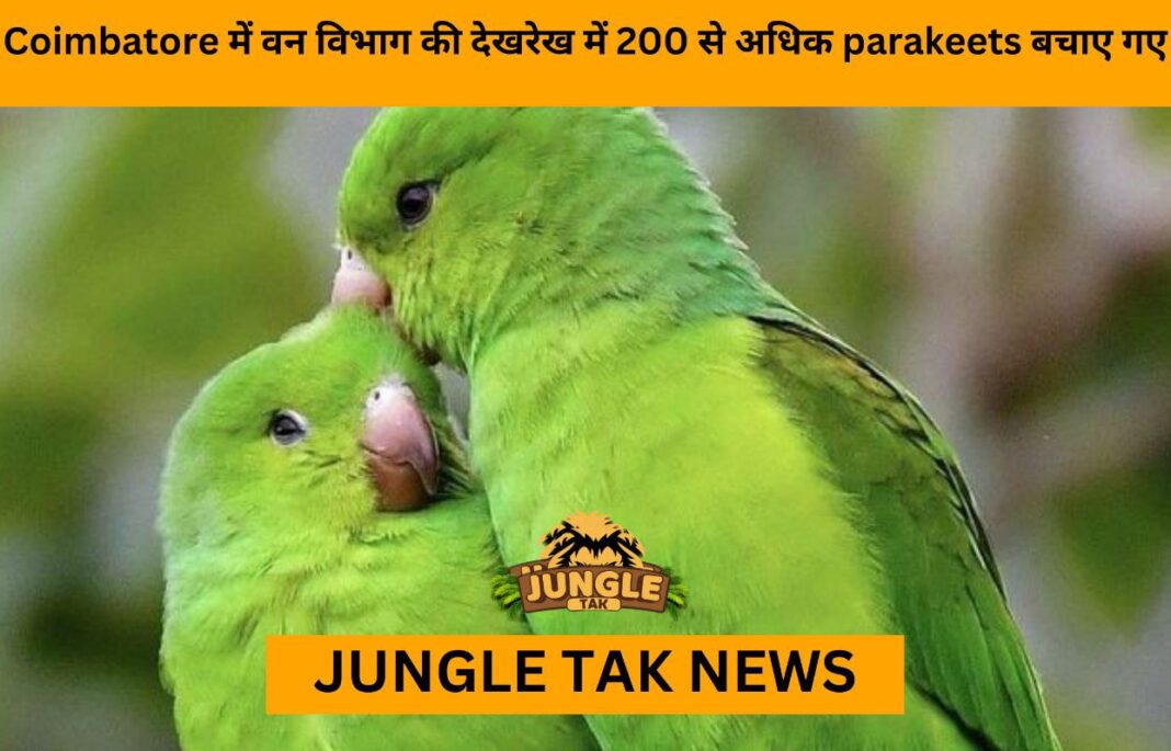 In Coimbatore over 200 rescued parakeets under Forest Department's care to spread wings to freedom - Jungle Tak