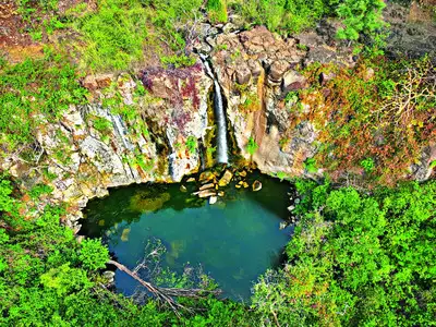 Jalgaon forest department to start safari at Pal sanctuary