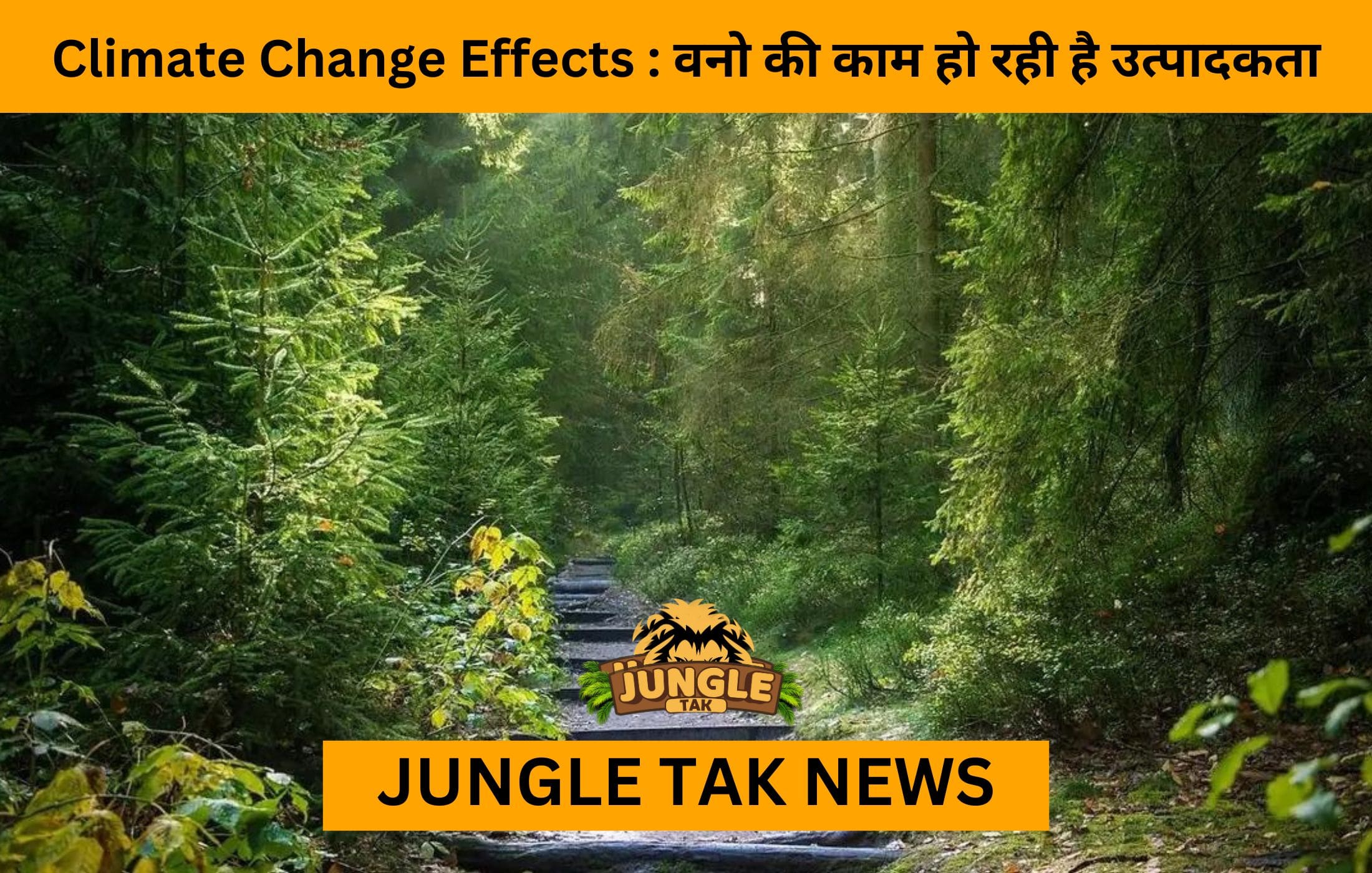 Climate Change Effects