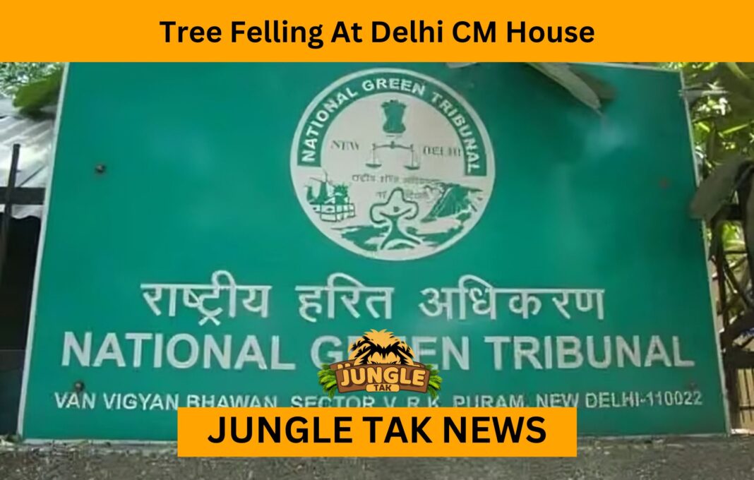 Tree Felling At Delhi CM House