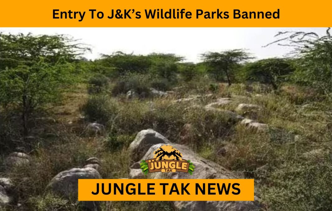 Entry To J&K’s Wildlife Parks Banned