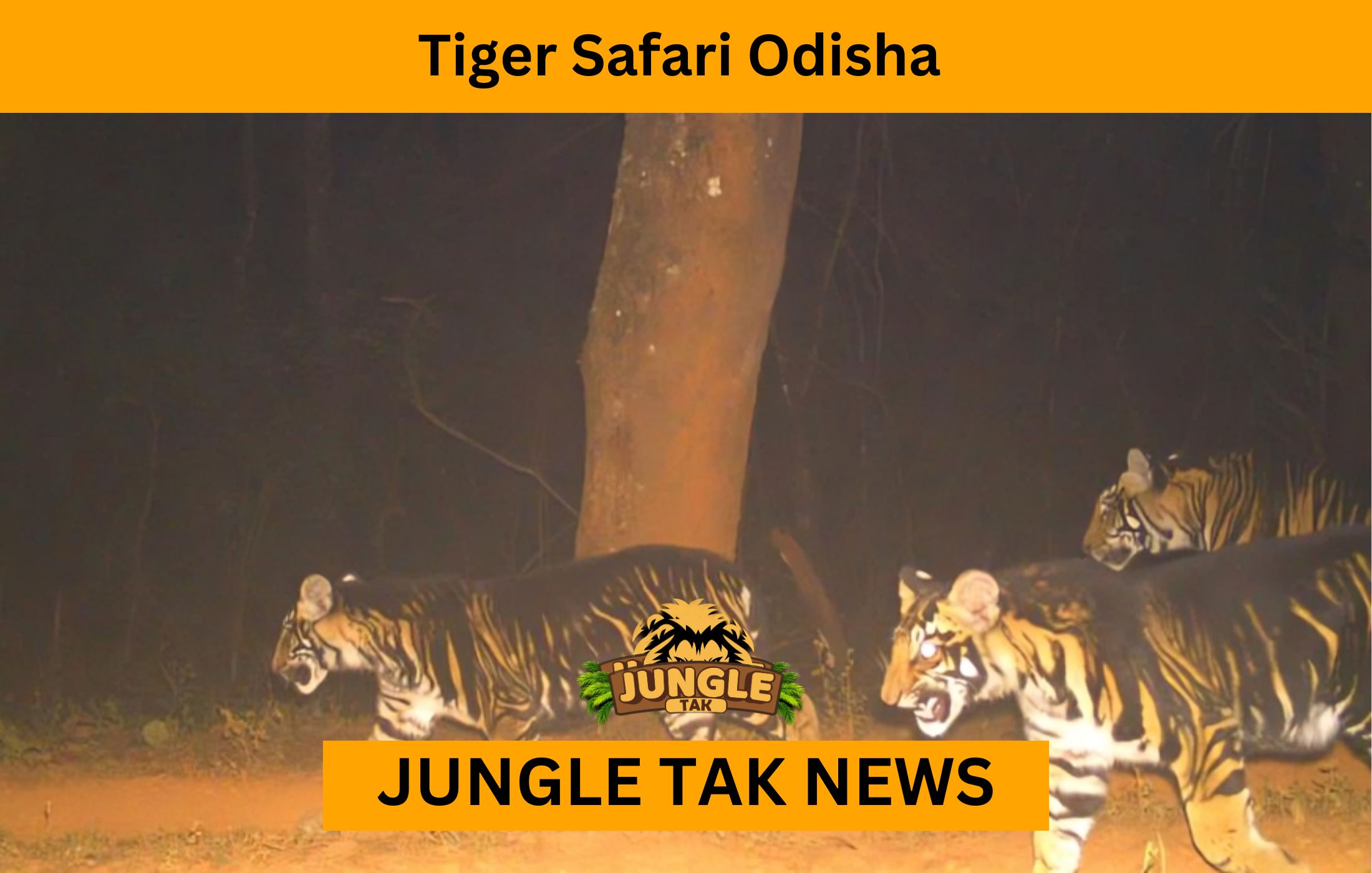Tiger Safari Odisha