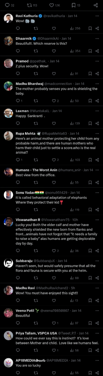 Elephant Protecting Its Calf 