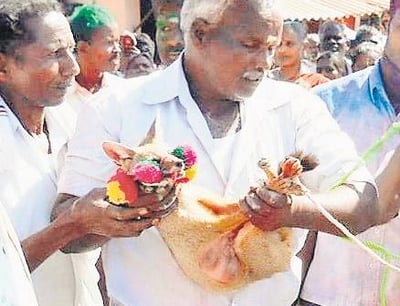 Forest Department in Salem raises awareness among villagers on perils of Vanga Nari Jallikattu