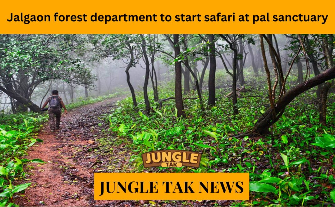 Jalgaon forest department to start safari at Pal sanctuary