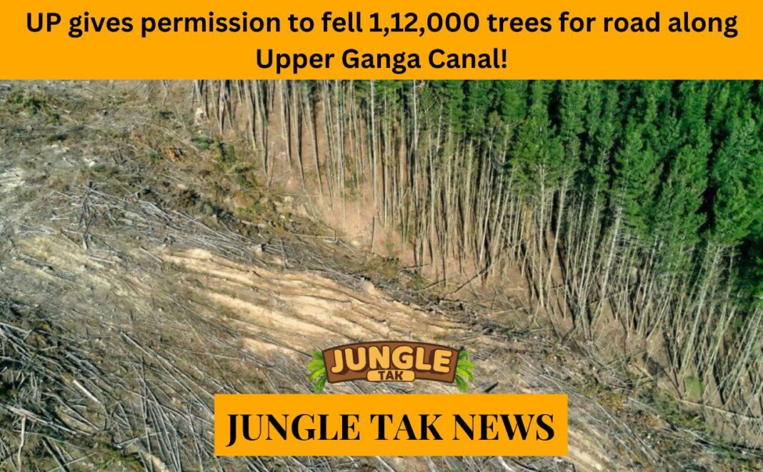 UP gives permission to fell 112,000 trees for road along Upper Ganga Canal