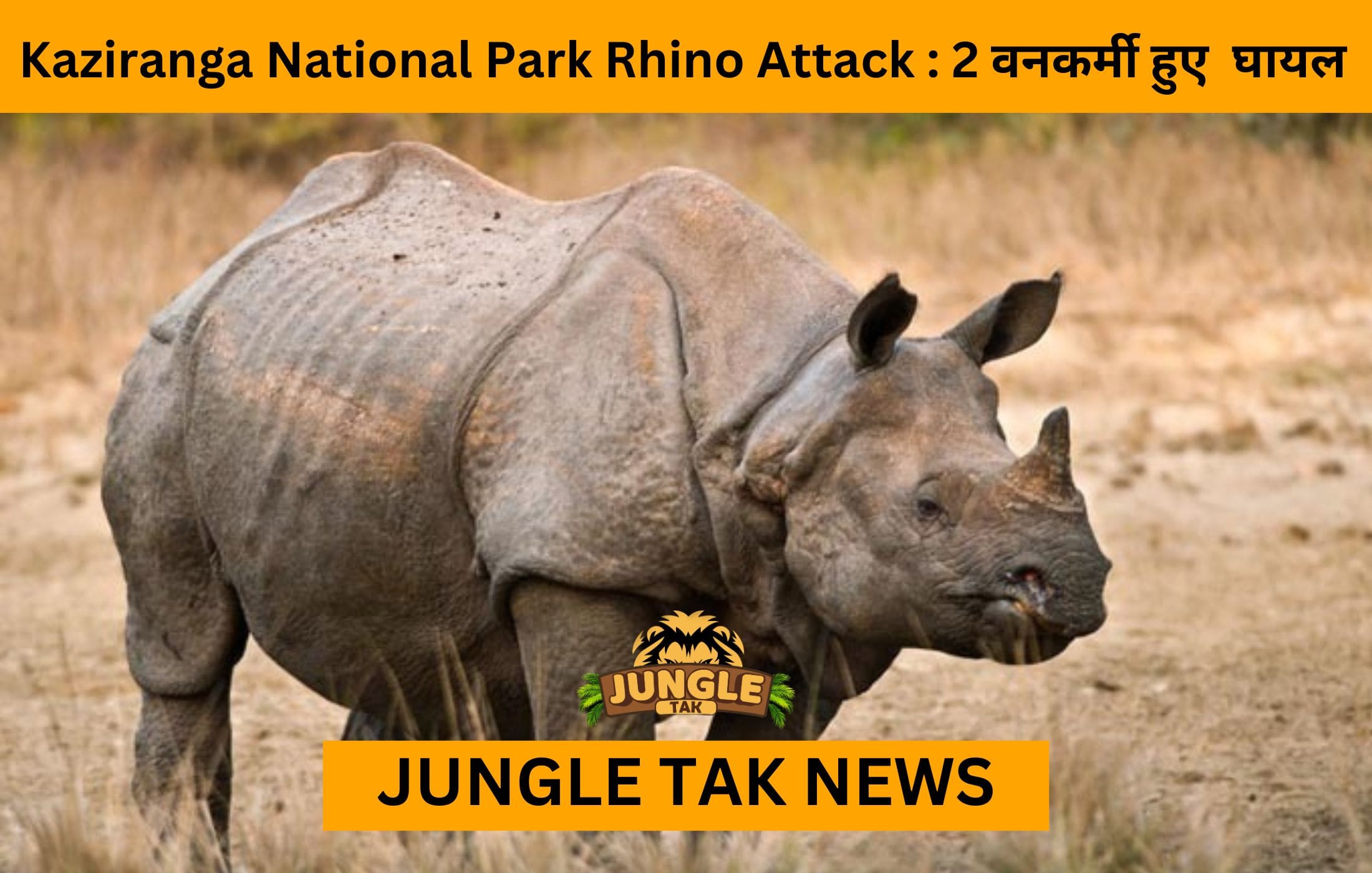 Kaziranga National Park Rhino Attack