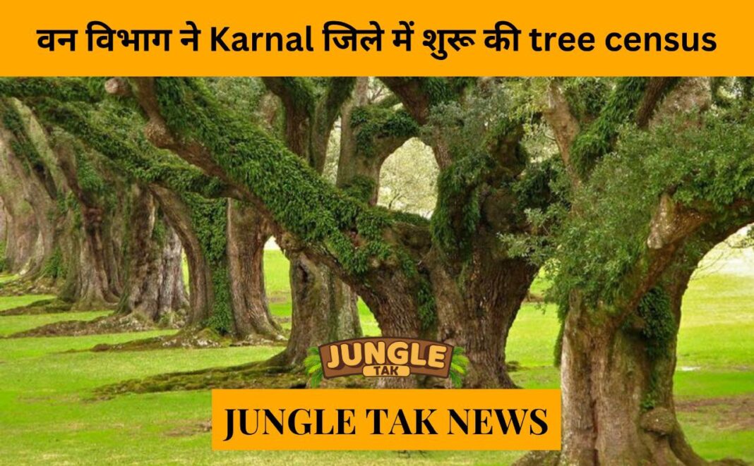 forest dept begins tree census in karnal district