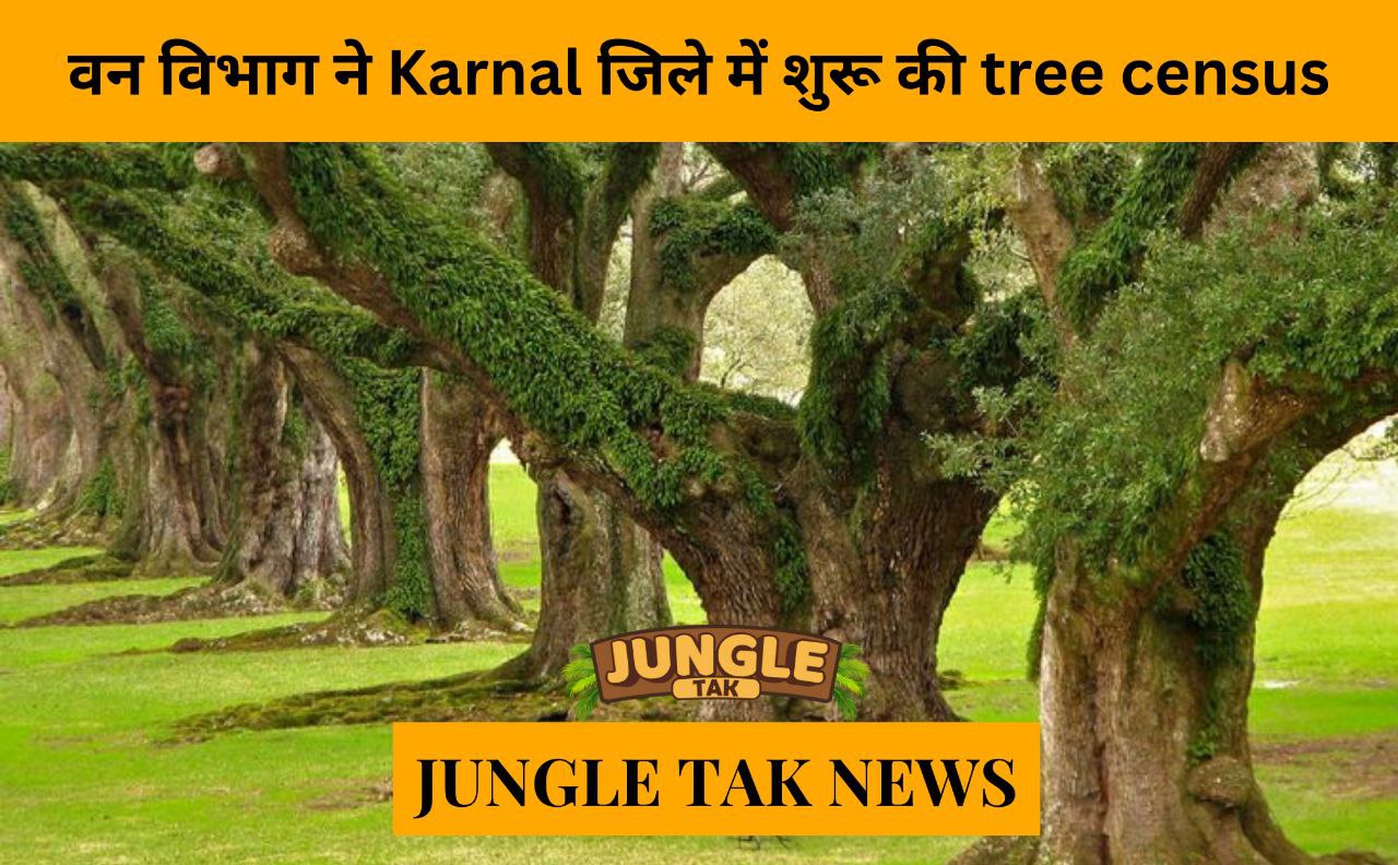 forest dept begins tree census in karnal district