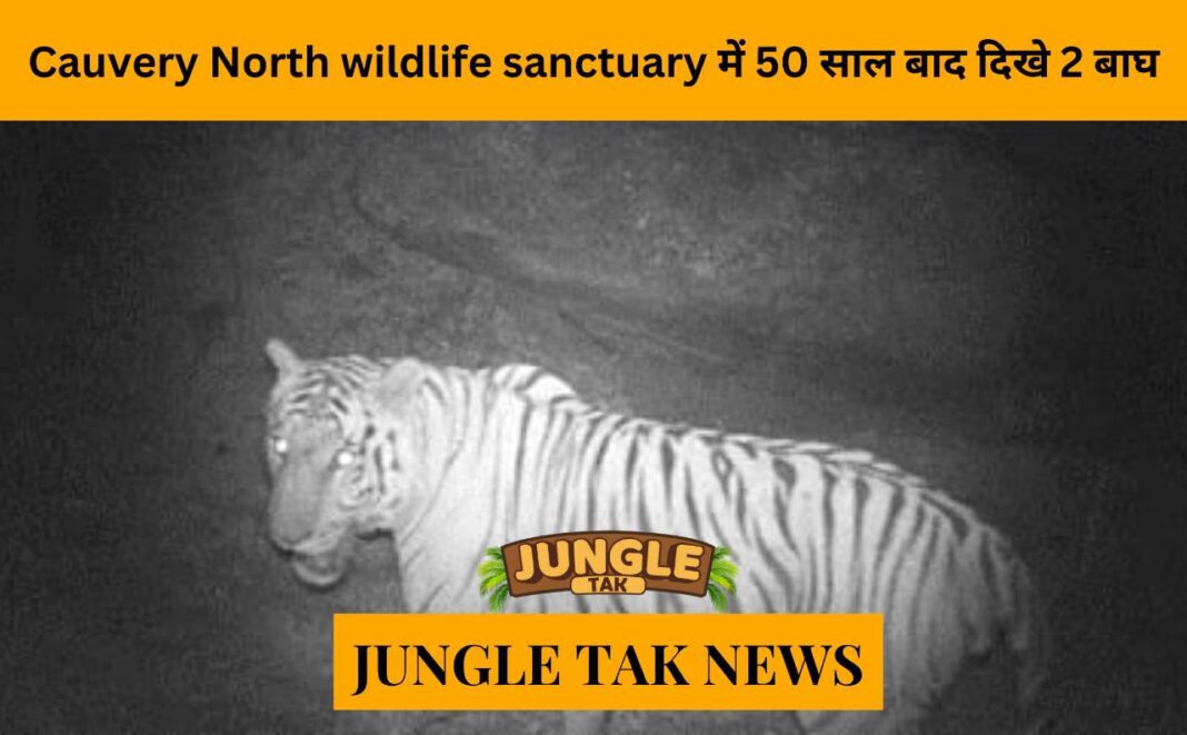 Two tigers spotted in Cauvery North Wildlife Sanctuary after 50 years
