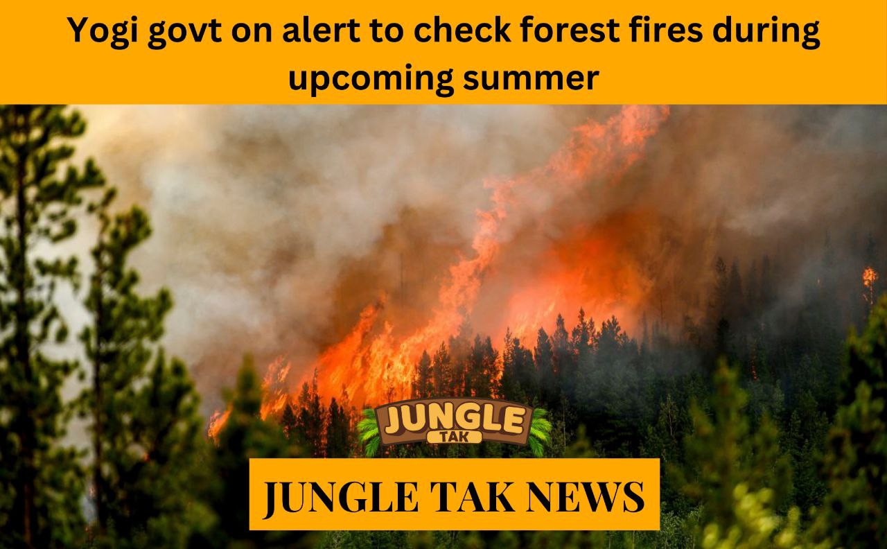 Yogi govt on alert to check forest fires during upcoming summer