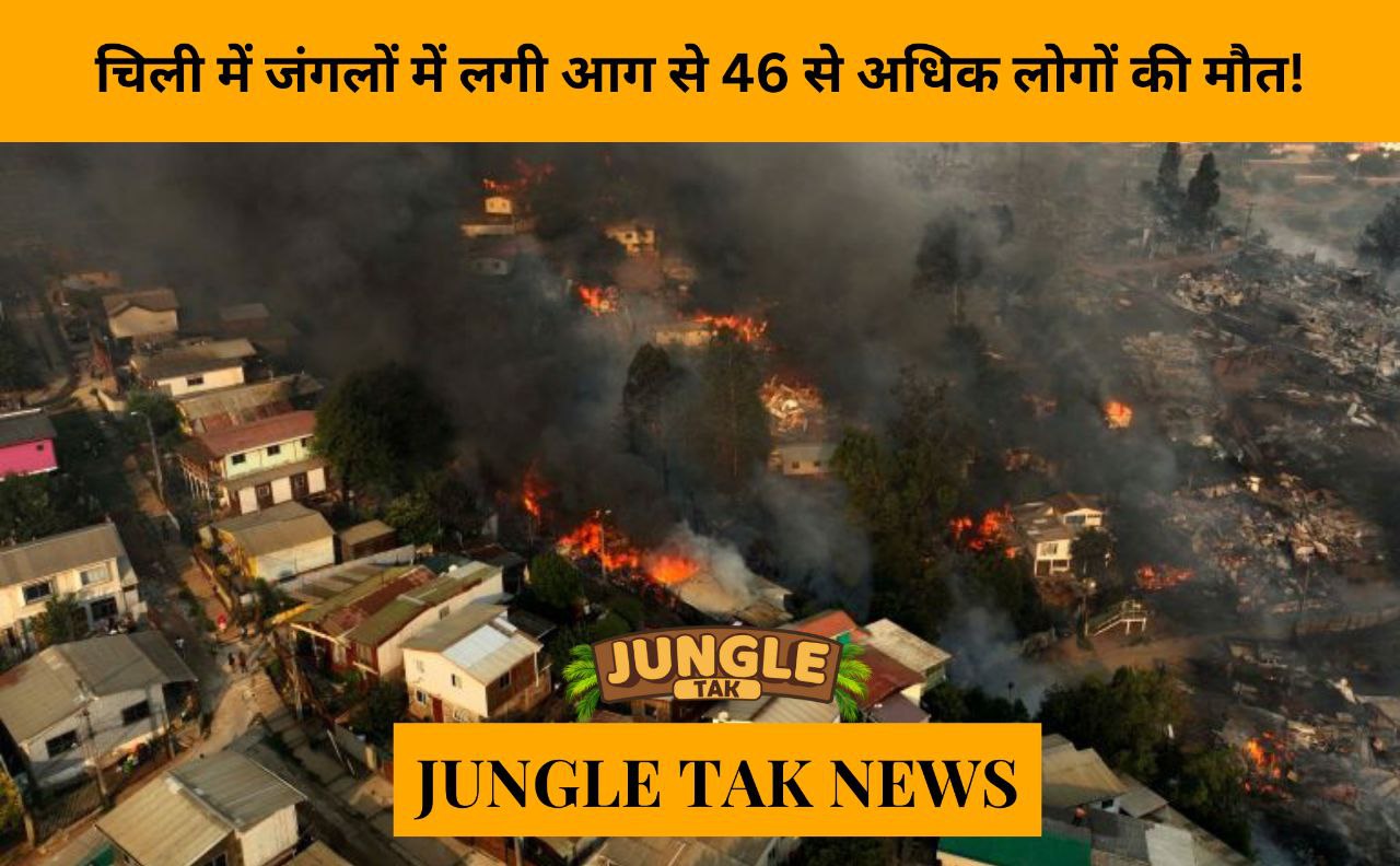 more than 46 people killed as forest fires rage in Chile