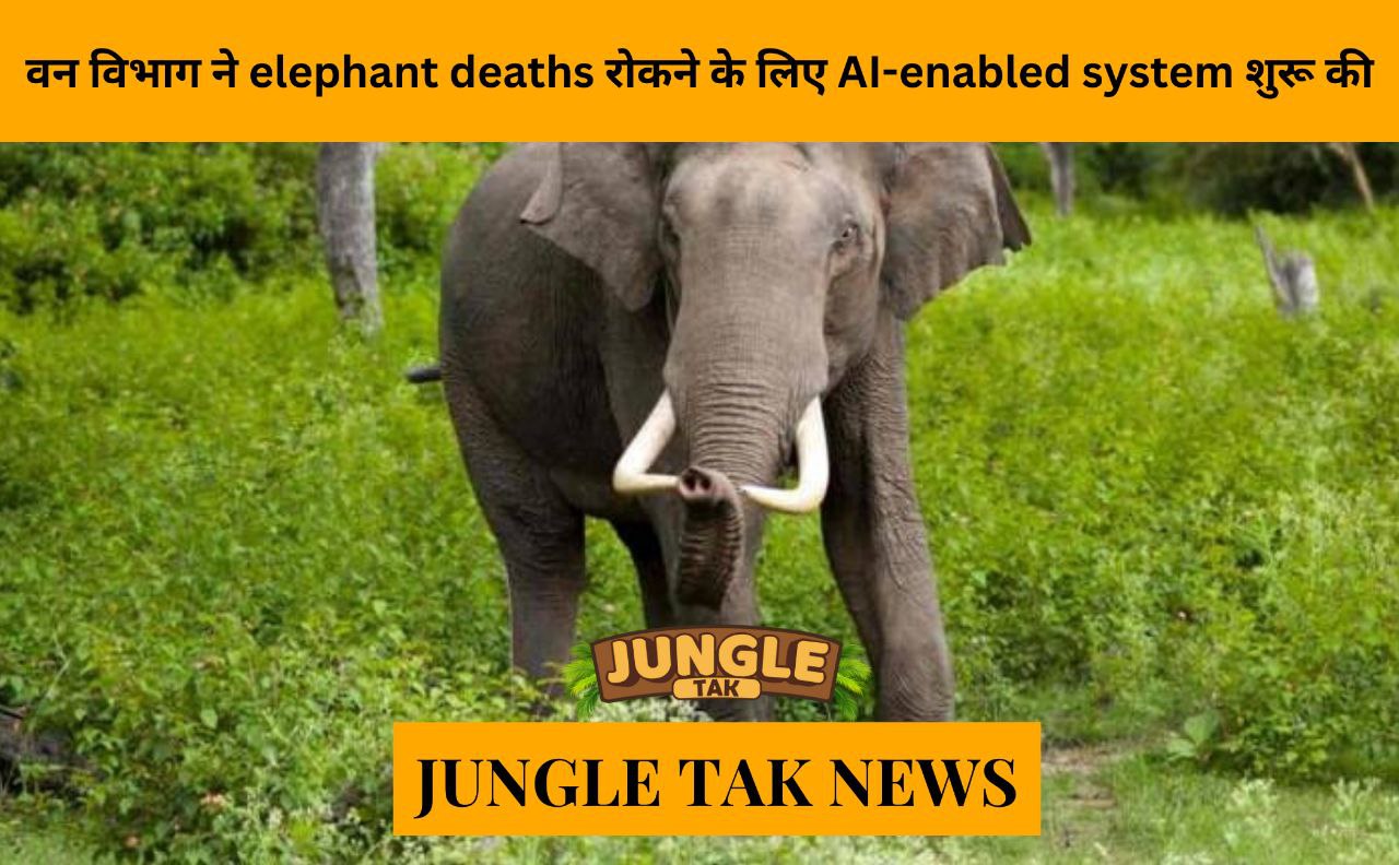 Forest dept launches AI-enabled system to prevent elephant deaths
