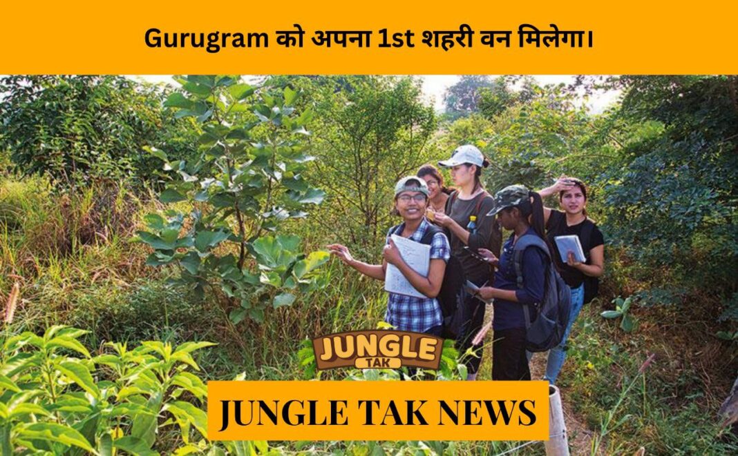 Gurugram to get it's 1st urban forest