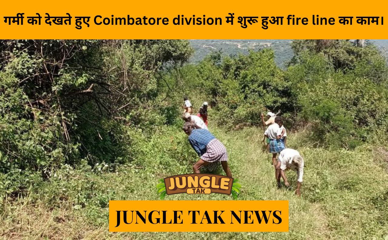 Forest Department begins fire line works in Coimbatore Division in view of summer