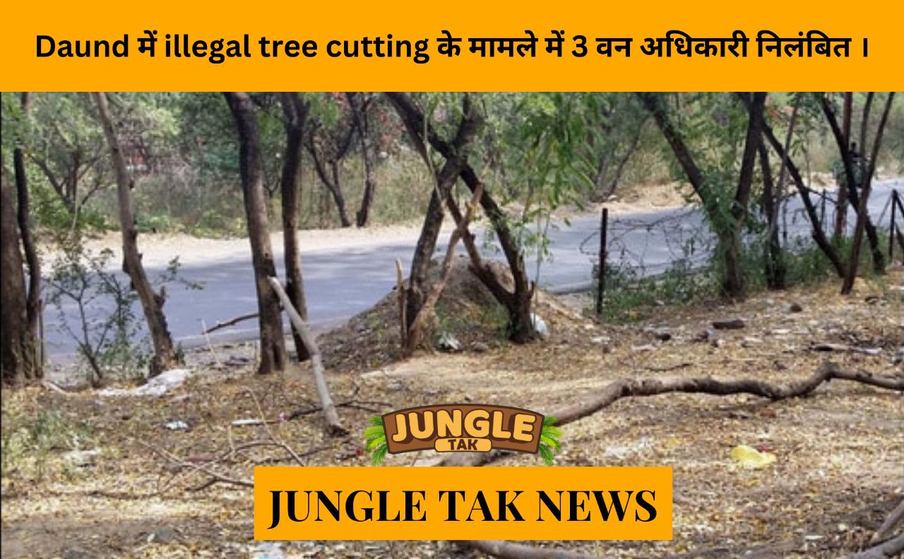 Three forest officers suspended in Daund over illegal tree-cutting