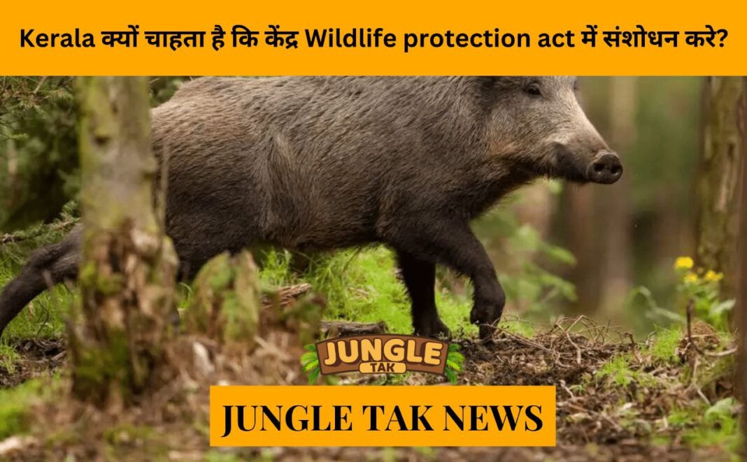 Why does Kerala want the Centre to amend the Wildlife Protection Act?