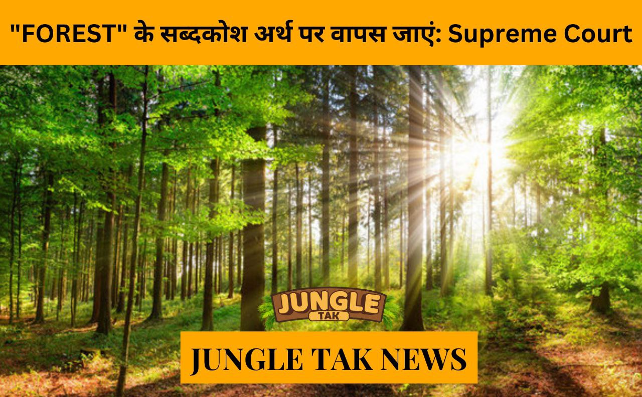 Go back to dictionary meaning of ‘forest’: Supreme Court- JUNGLE TAK