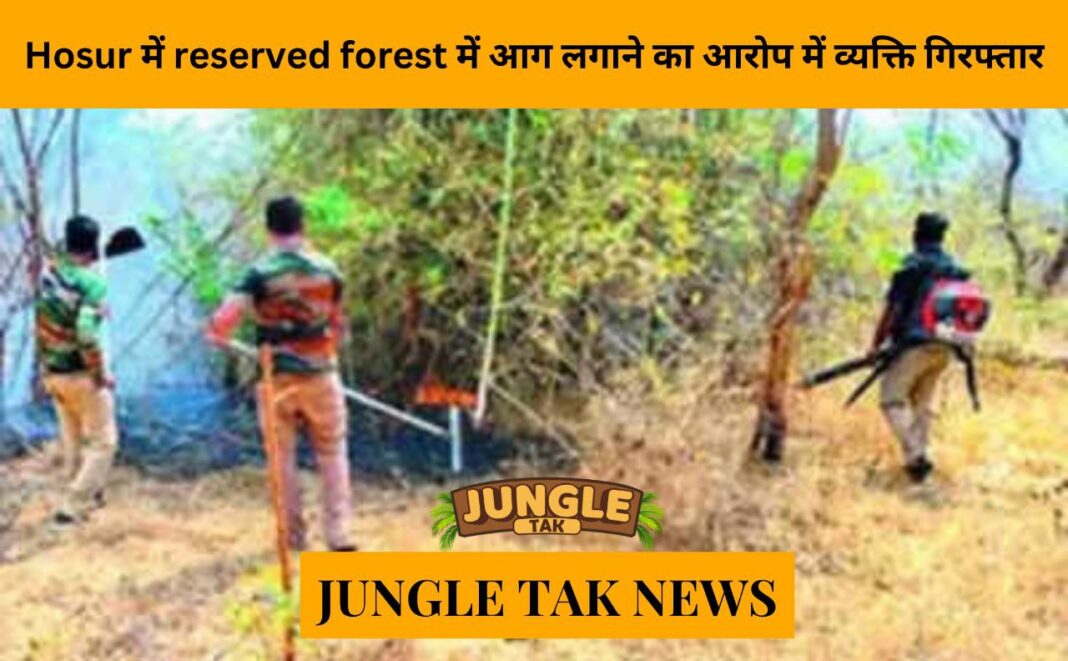 Man arrested for starting fire in reserve forest in Hosur- JUNGLE TAK