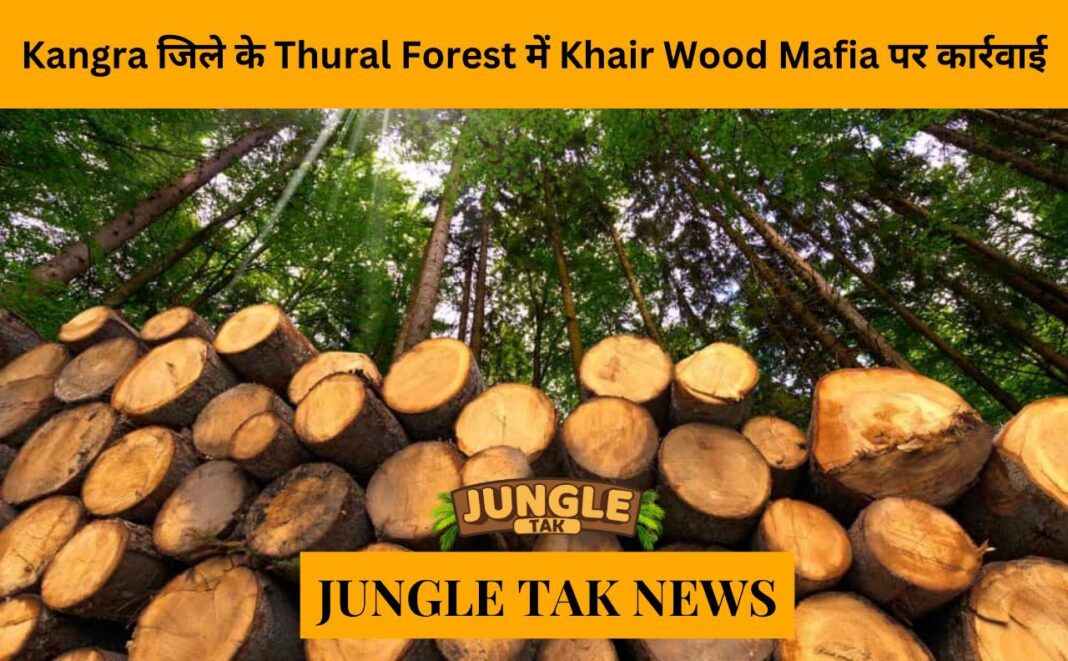 Crackdown on khair wood mafia in Thural forest in Kangra district- JUNGLE TAK