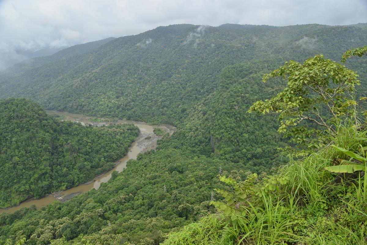 Goa तक बिजली लाइन परियोजना से Karnataka के जंगलों में 62,000 पेड़ प्रभावित होंगे- JUNGLE TAK