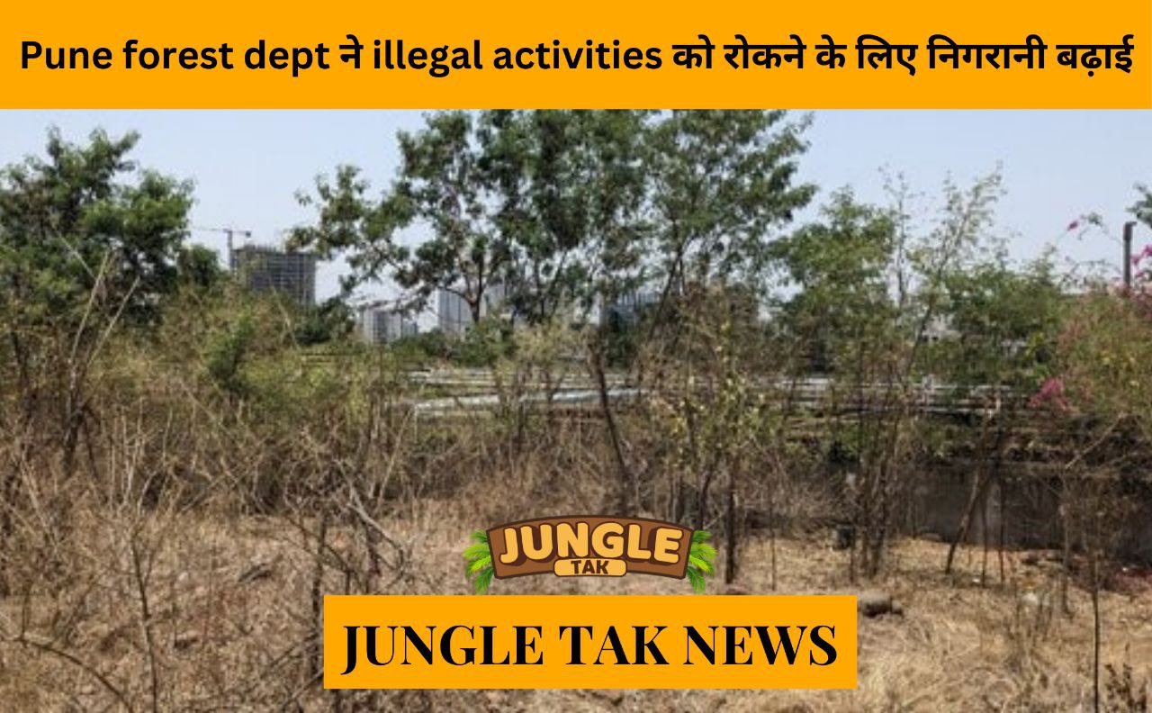 Pune forest dept ups vigilance to curb illegal activities- JUNGLE TAK