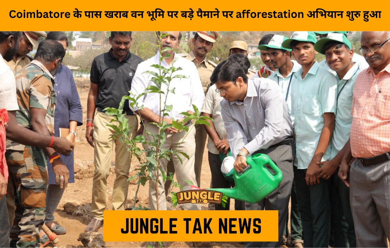 On degraded forest territory close to Coimbatore, a massive afforestation operation is launched- JUNGLE TAK