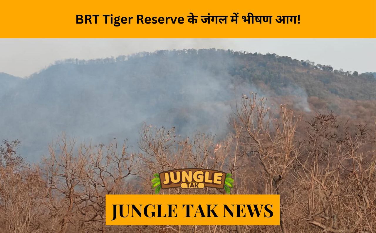 Major forest fire at BRT Tiger Reserve- JUNGLE TAK
