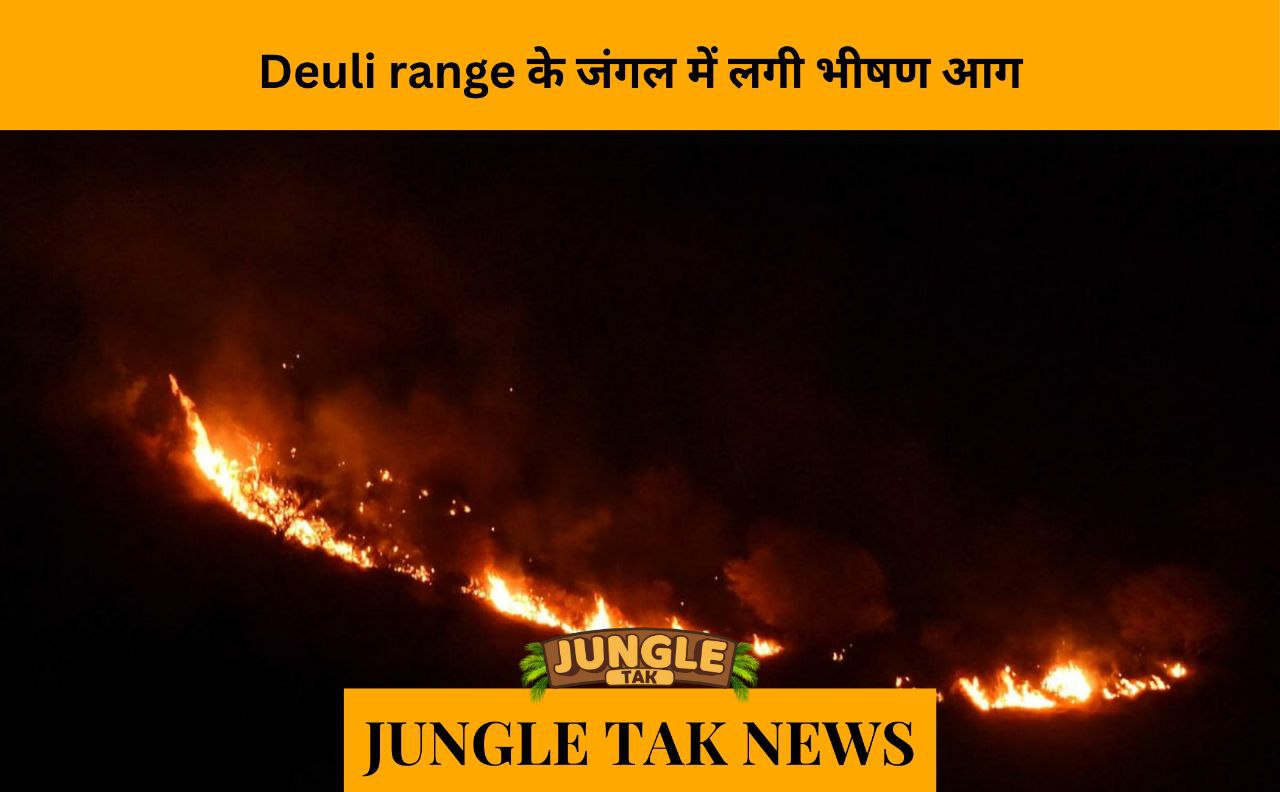 Major forest fire in Deuli range- JUNGLE TAK